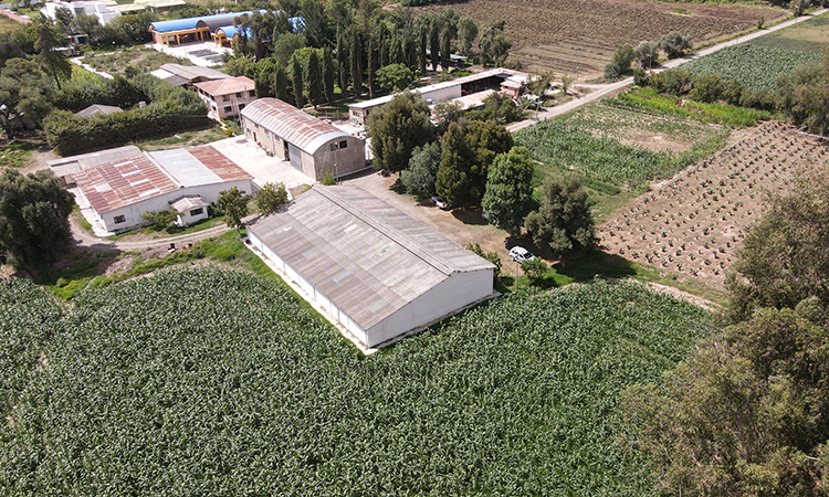 Cochabamba